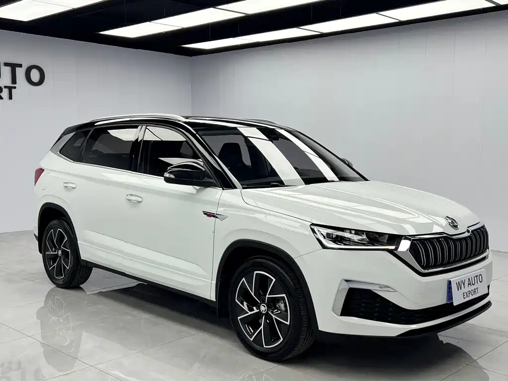 Skoda Kamiq — миниатюра 3