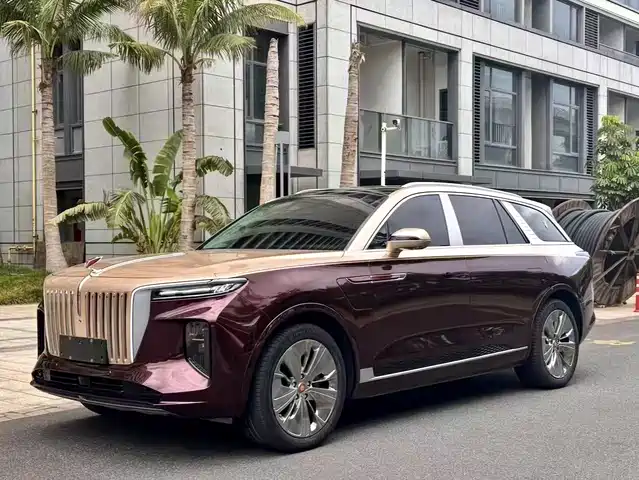 2021 Hongqi E-HS9