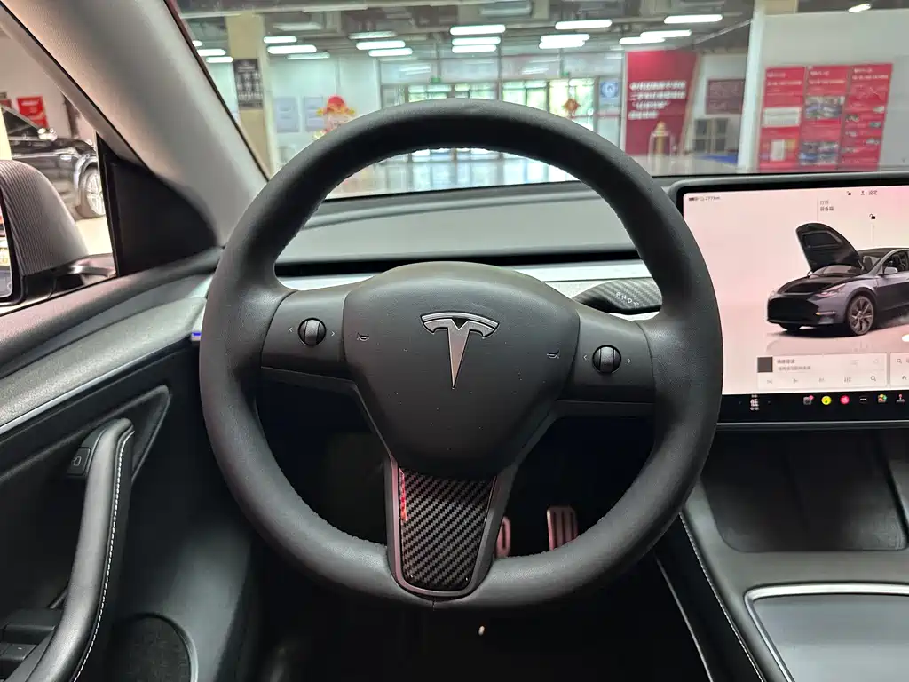 Tesla Model Y — миниатюра 19