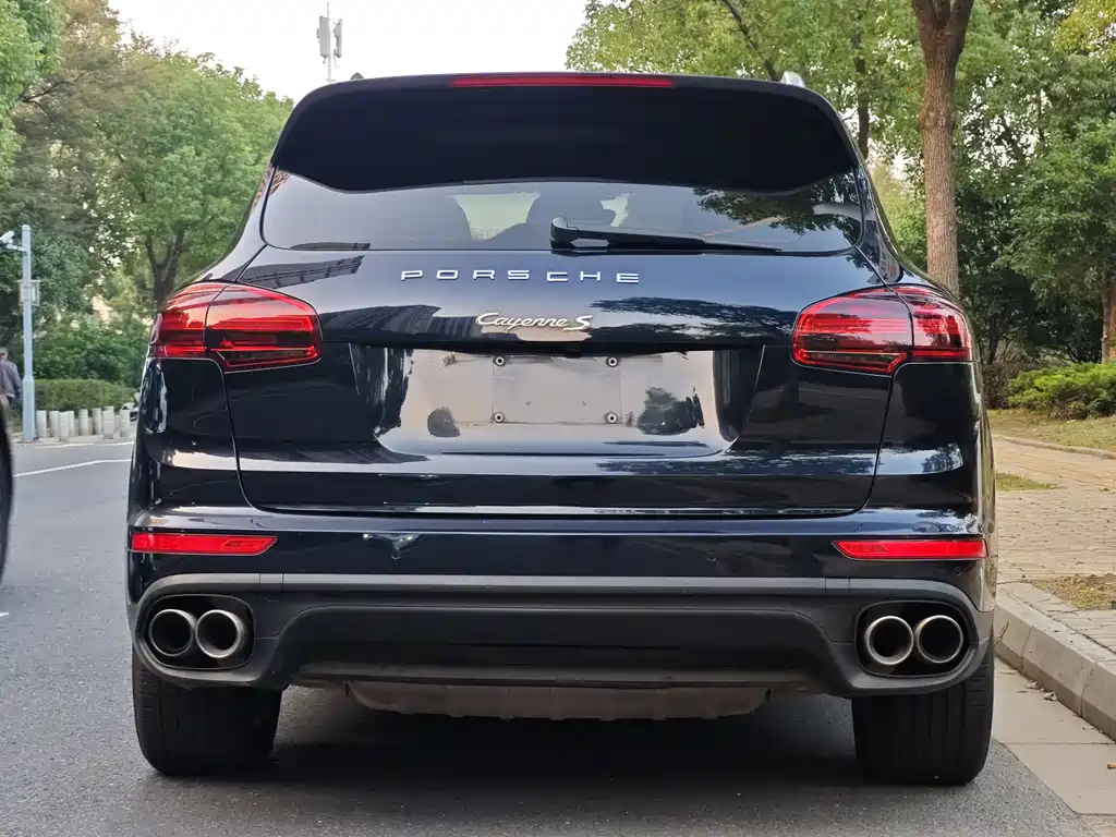 PORSCHE CAYENNE NEW ENERGY