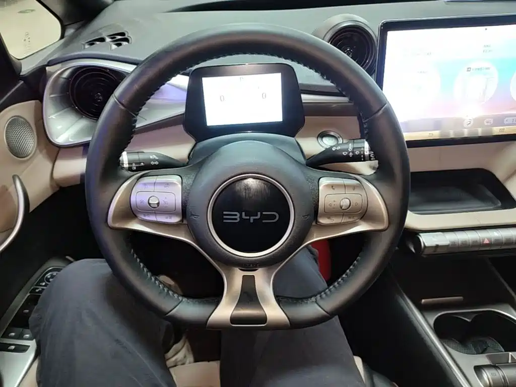 BYD Dolphin — миниатюра 11