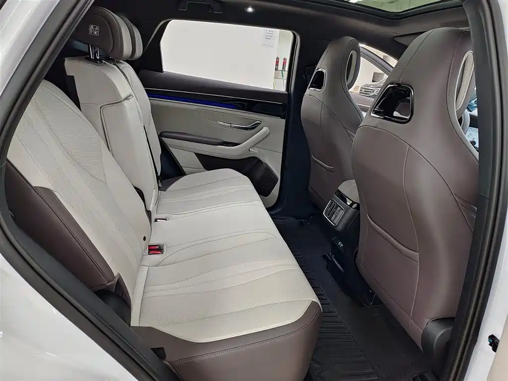 BYD SONGJIANG NEW ENERGY