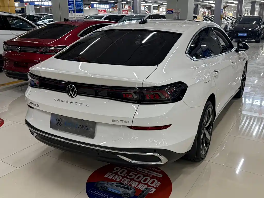 Volkswagen Lamando — миниатюра 4