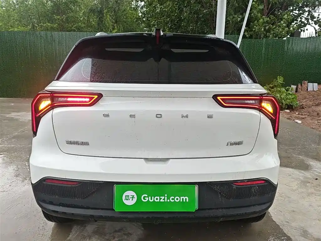 Geely E Firefly E 2024 301km