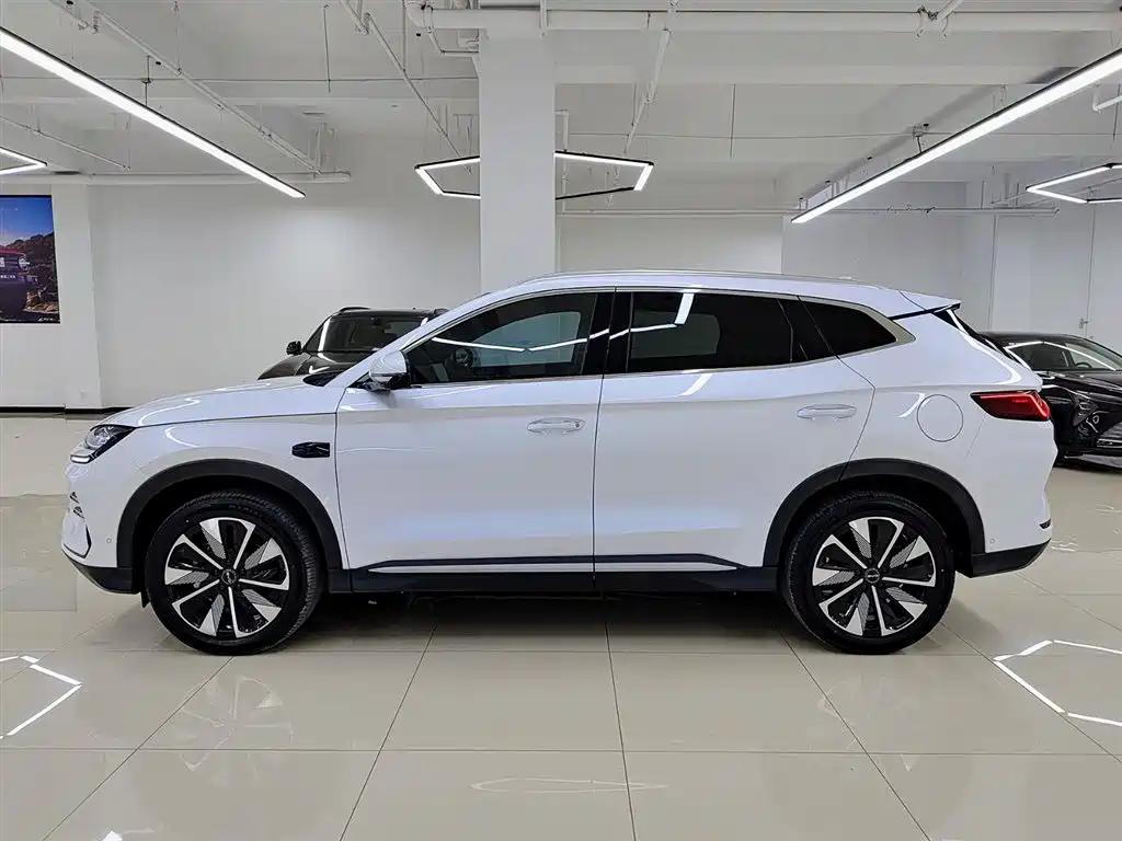 BYD SONGJIANG NEW ENERGY