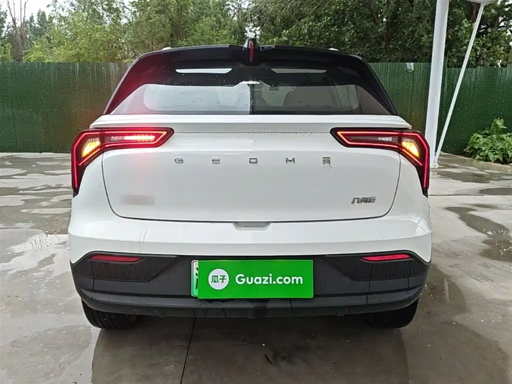 Geely E Firefly E 2024 301km
