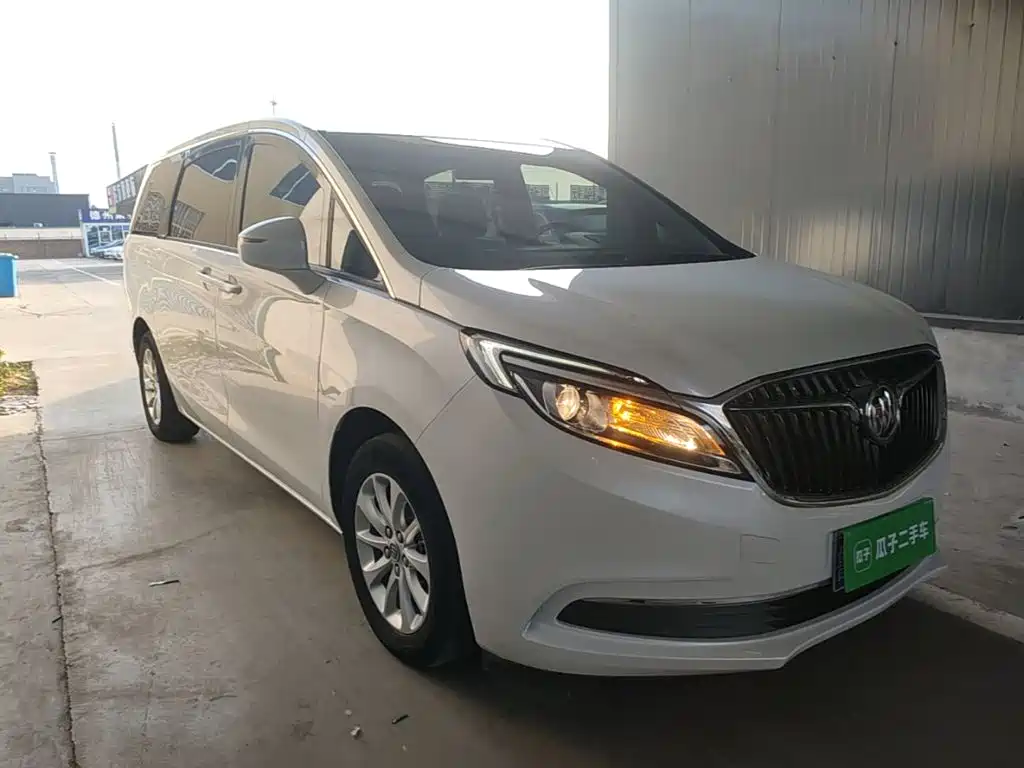 Buick GL8 — миниатюра 4