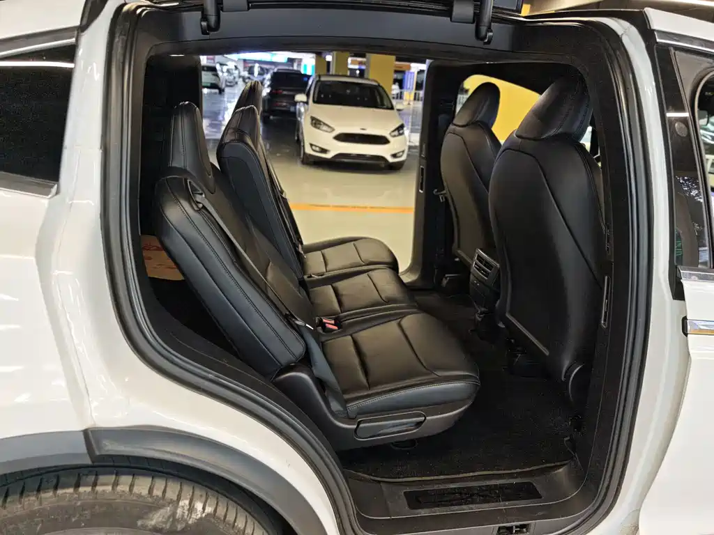 Tesla Model X — миниатюра 6