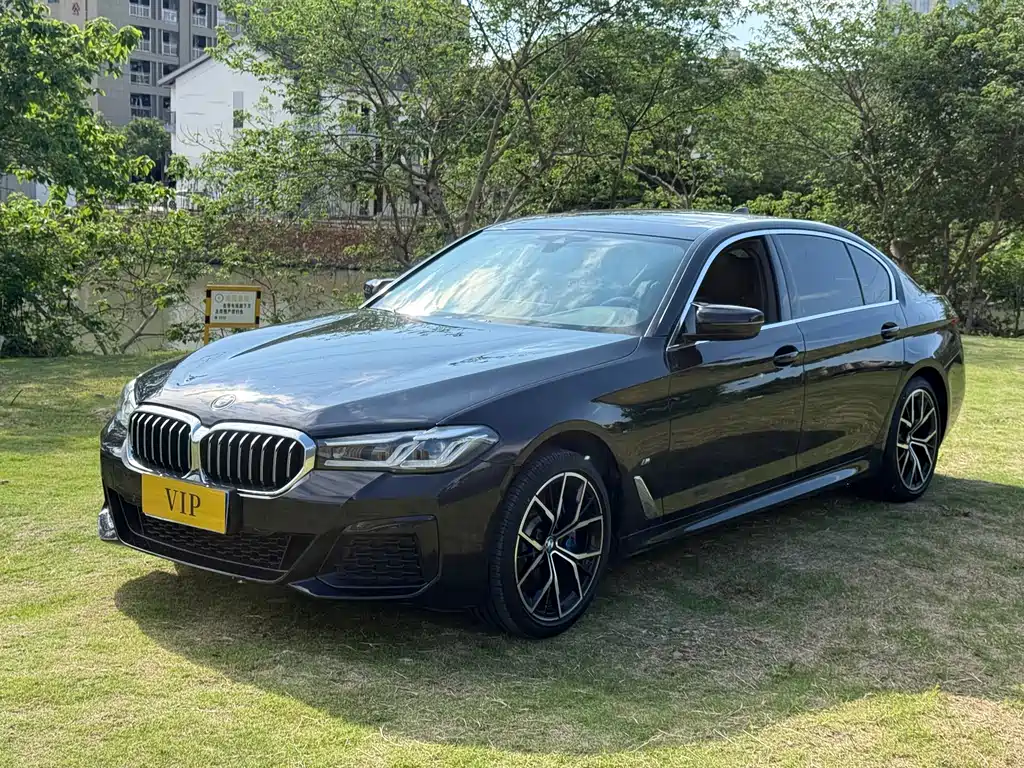 BMW 5 Series 2021