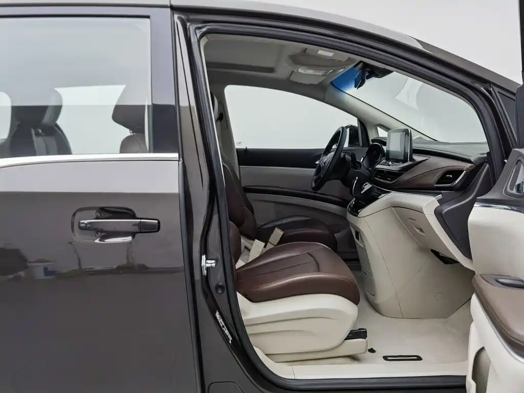 Buick GL8 — миниатюра 23
