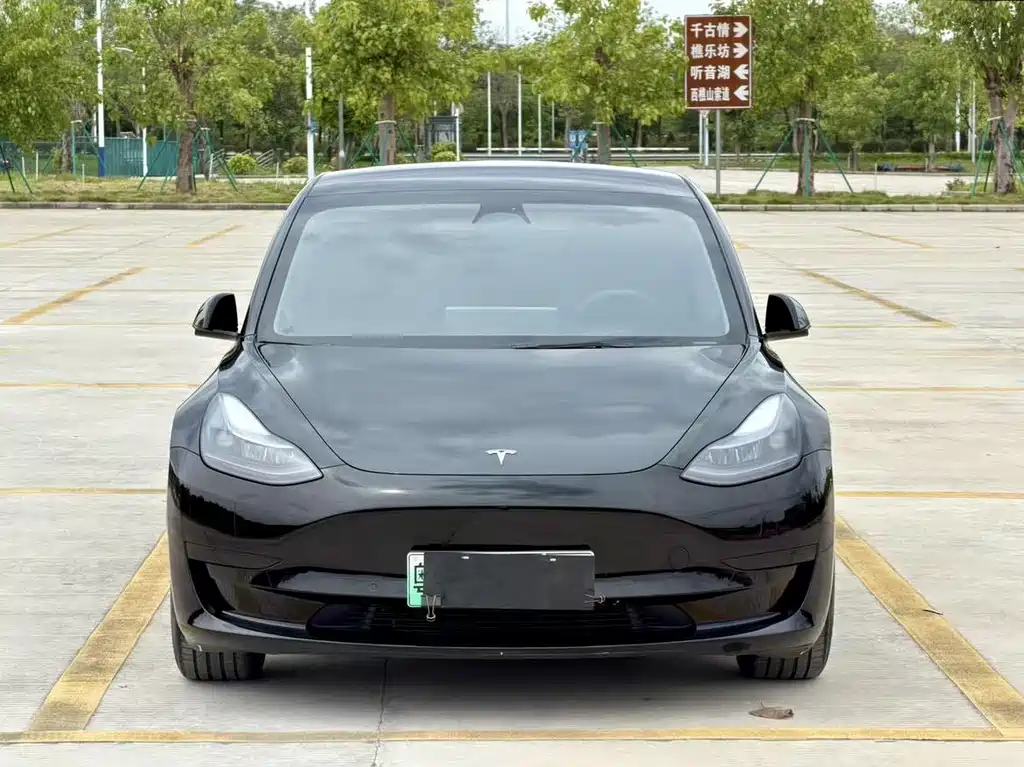 Tesla Model 3 — миниатюра 3