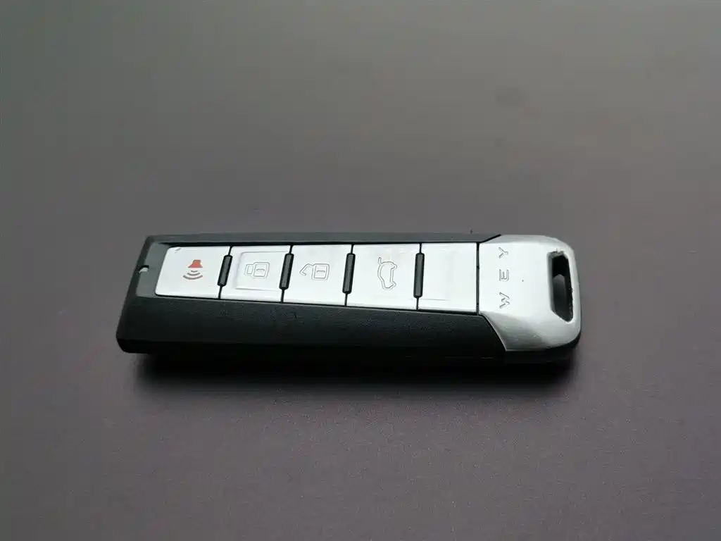 WEI PAI WEI BRAND VV5