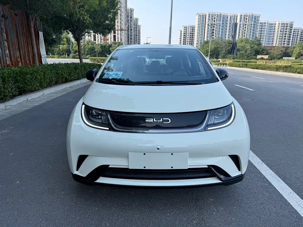 BYD Dolphin — миниатюра 2
