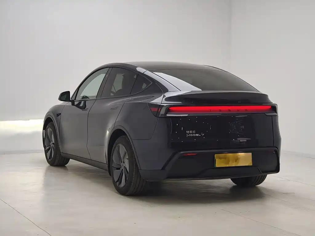Tesla Model Y — миниатюра 11
