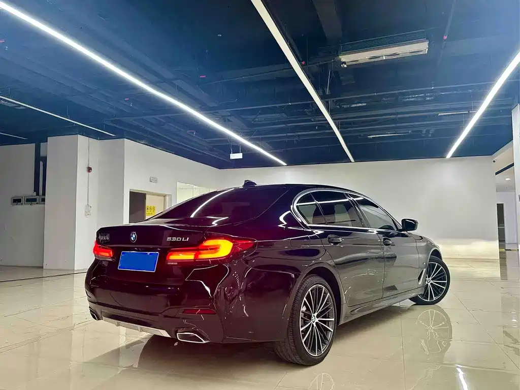 BMW 5 Series — миниатюра 5