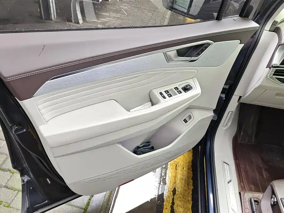 Volkswagen Viloran 2021 530TSI Flagship Pro