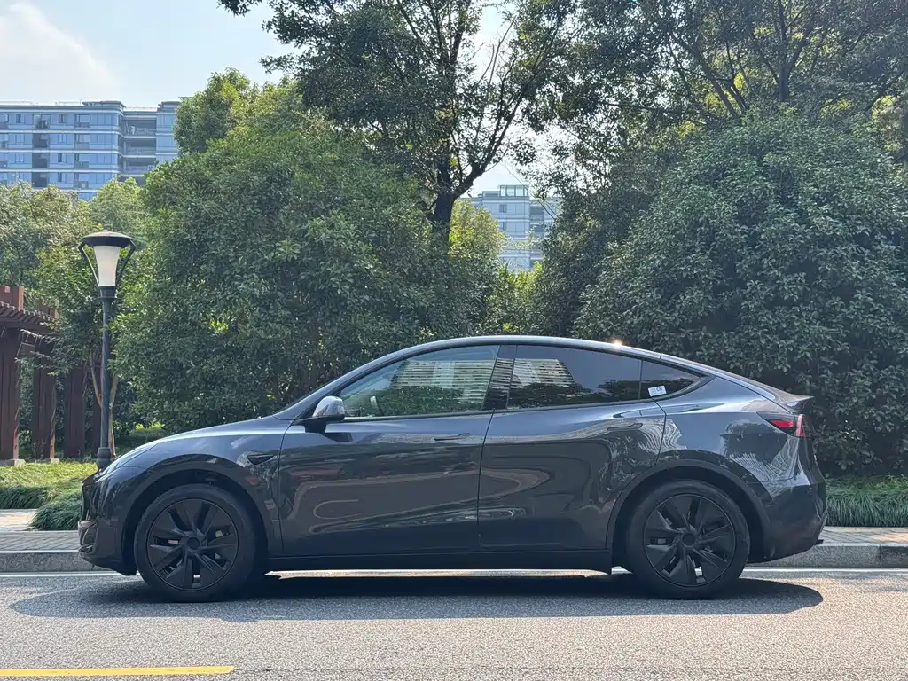 Tesla Model Y — миниатюра 3