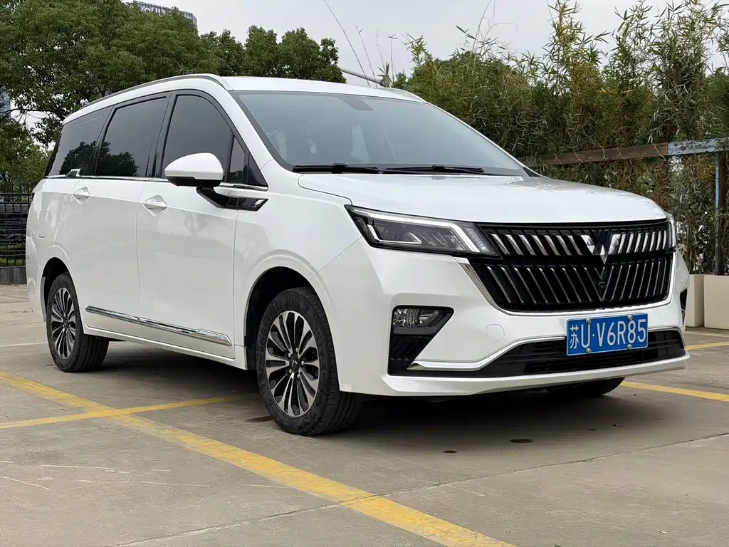 Wuling Jiachen — миниатюра 3