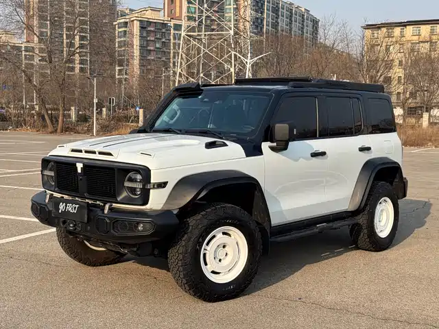 2023 TANK 300