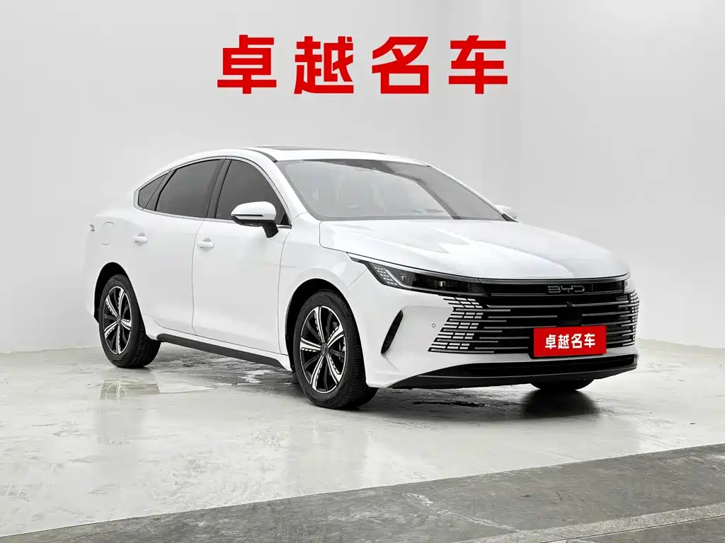 BYD Destroyer 05 — миниатюра 8