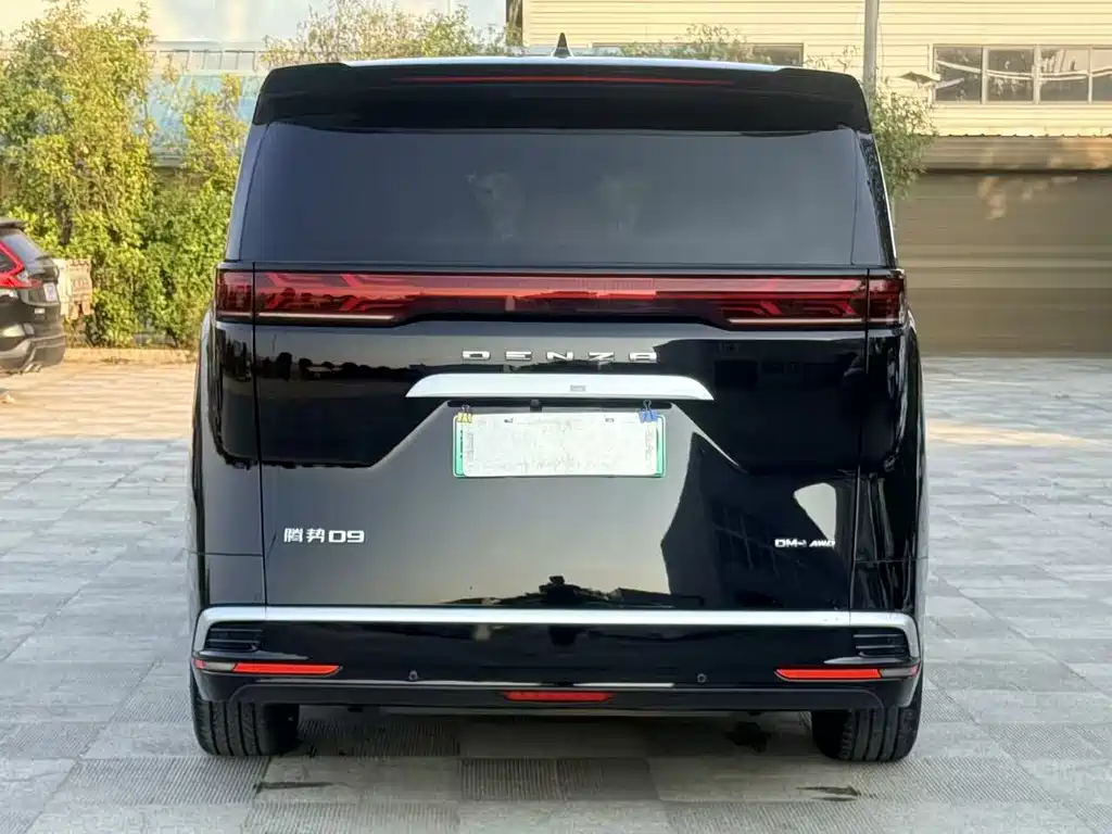 Denza Denza D9 — миниатюра 6