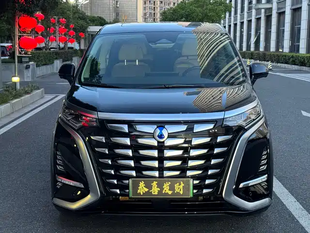 2024 Denza D9