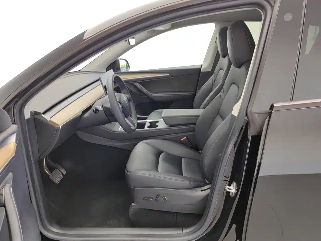 Tesla Model Y — миниатюра 10