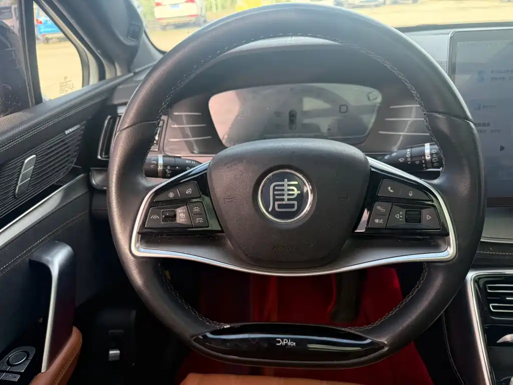 BYD Tang New Energy — миниатюра 15