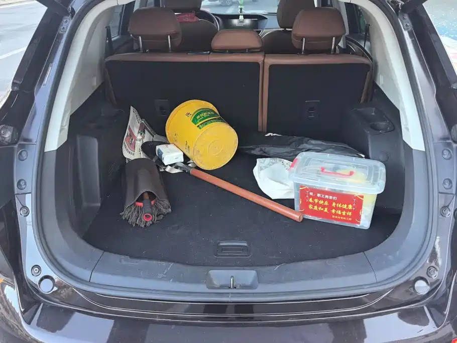 Borgward BX7 — миниатюра 4