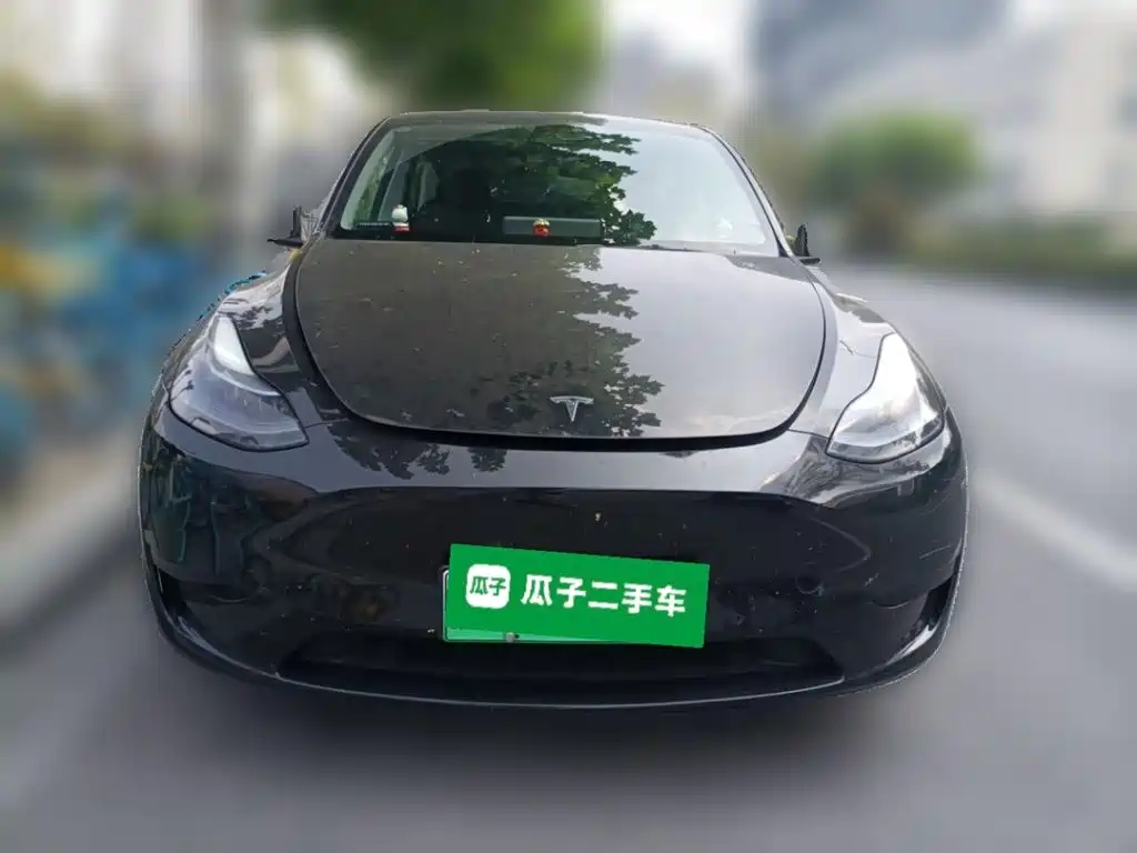 Tesla Model Y — миниатюра 2