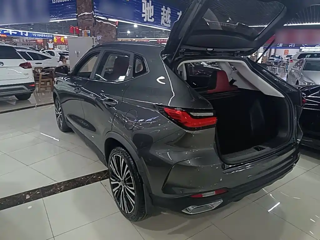 Oshan Oushang X5 — миниатюра 5