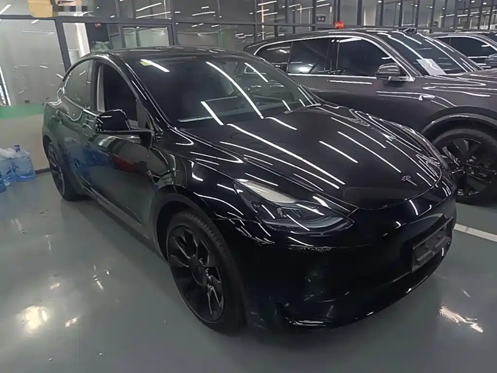 Tesla Model Y — миниатюра 4