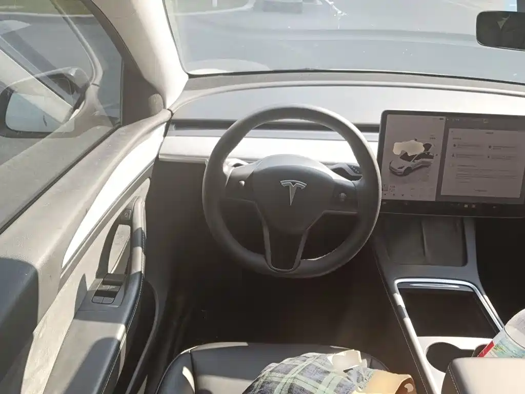 Tesla Model Y — миниатюра 11