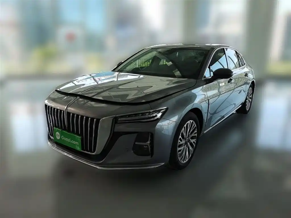 Hongqi Hongqi H5 2024