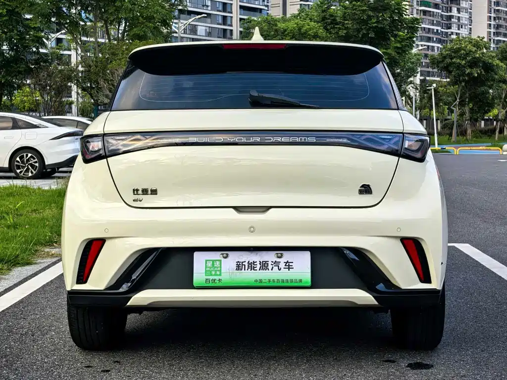 BYD Dolphin — миниатюра 16