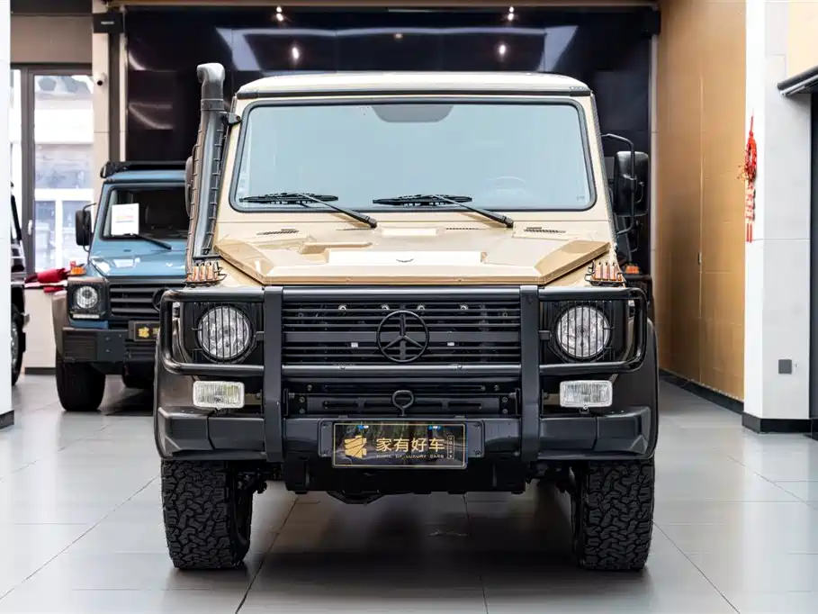 Mercedes-Benz G-Class G 2010 G 300 P