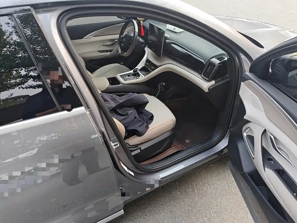 BYD Pro New Energy — миниатюра 19