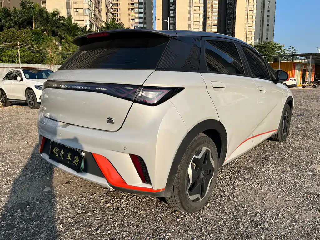 BYD Dolphin 2021 405km Fashion