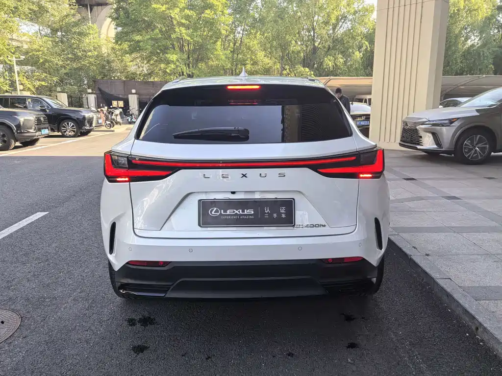 Lexus NX New Energy — миниатюра 7
