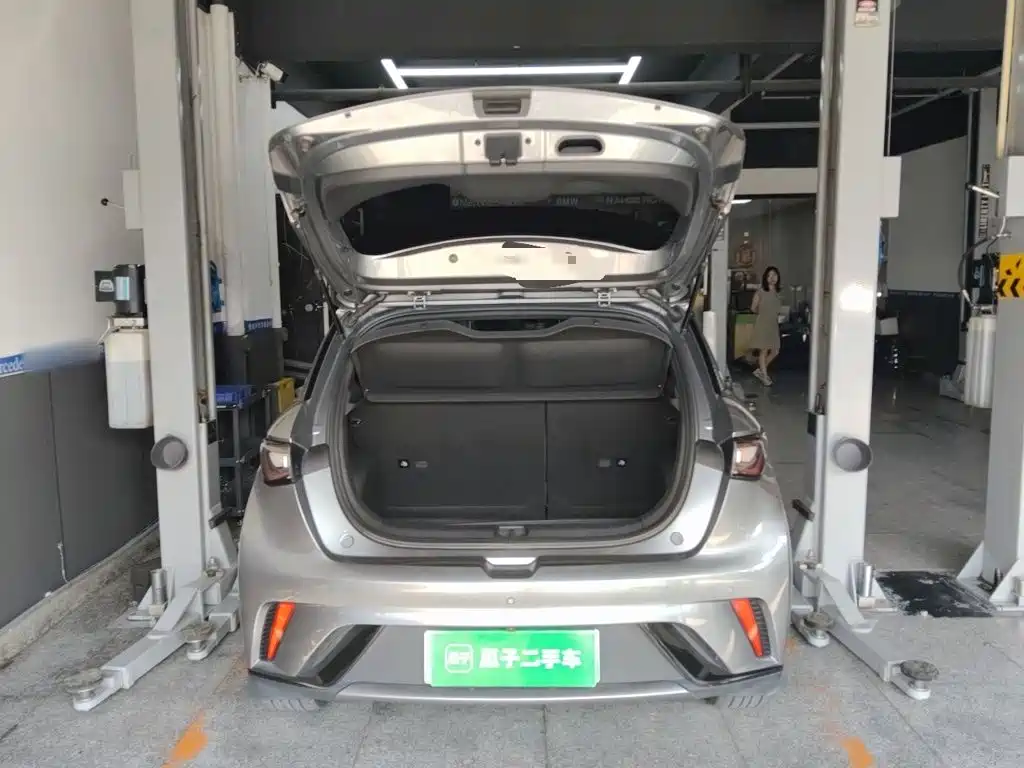 BYD Dolphin — миниатюра 10
