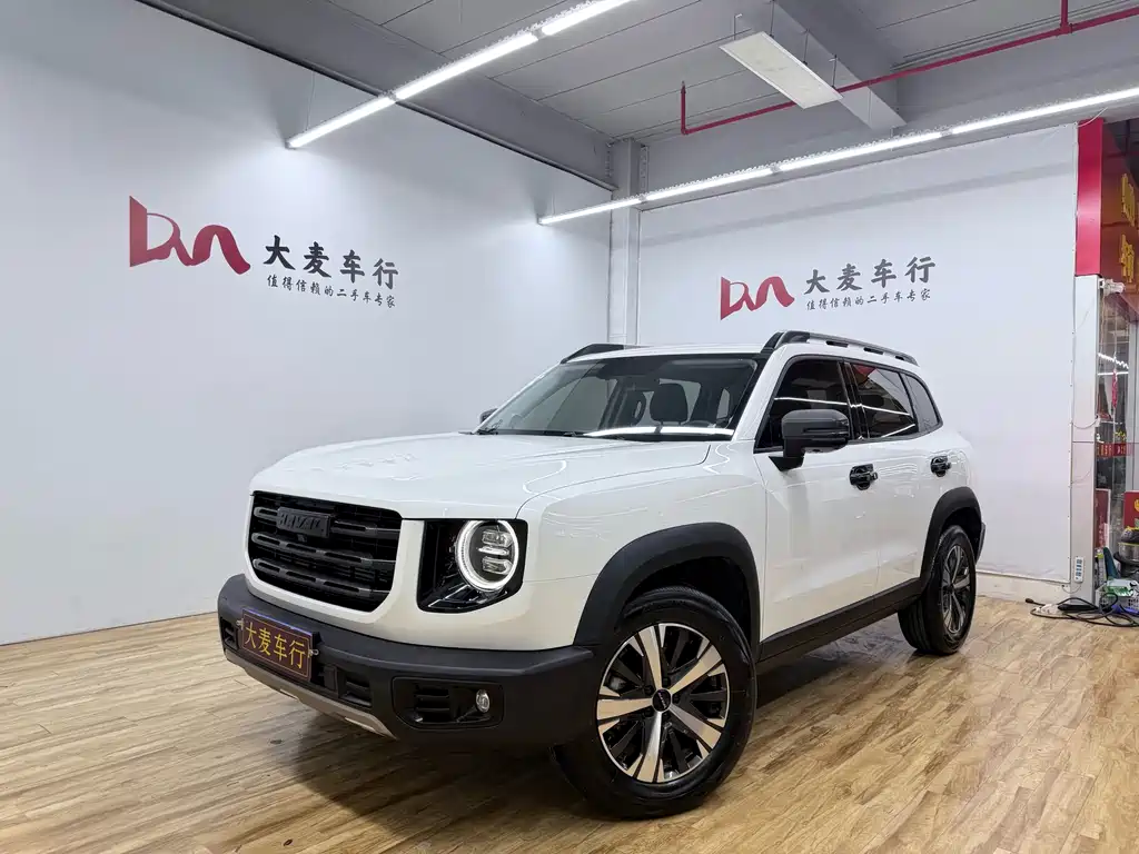 Haval Big Dog 2021