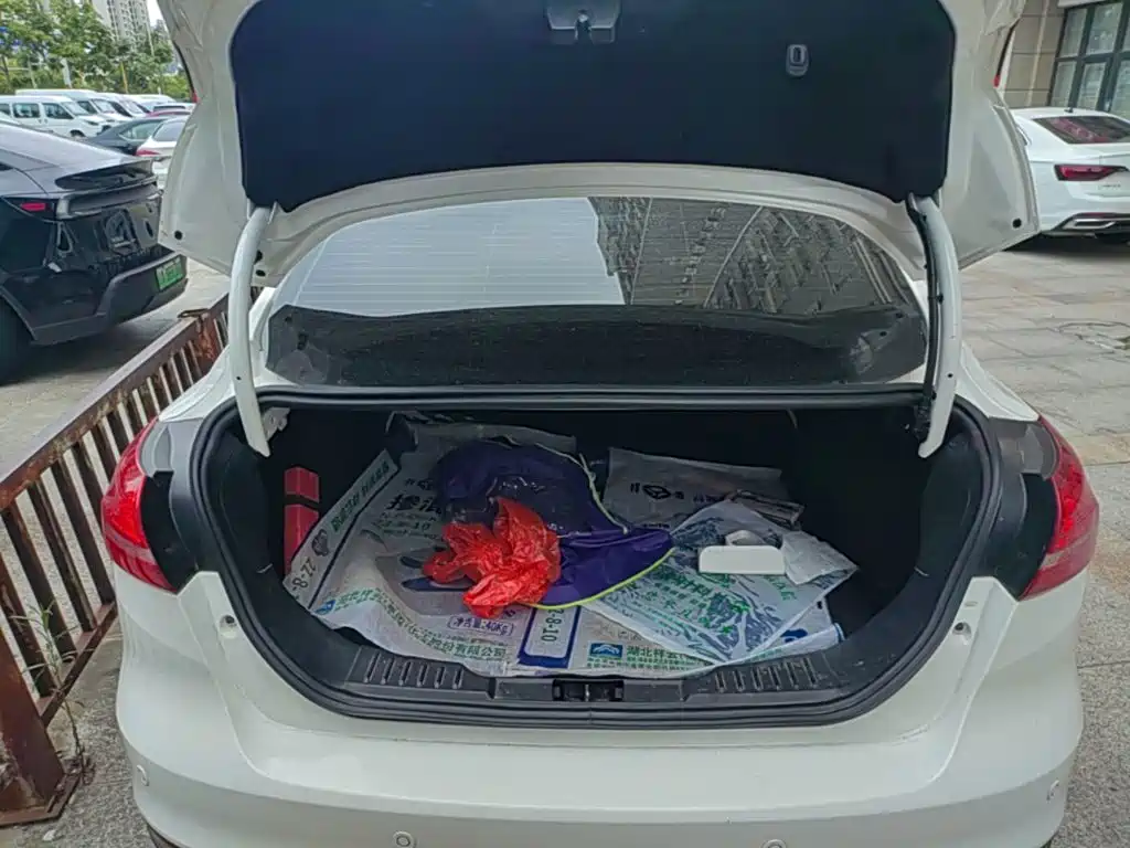 Ford Focus — миниатюра 19