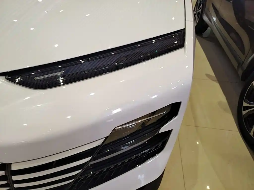 Jetour Dasheng — миниатюра 24