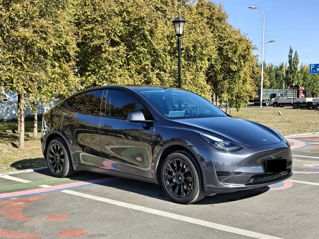 Tesla Model Y — миниатюра 3