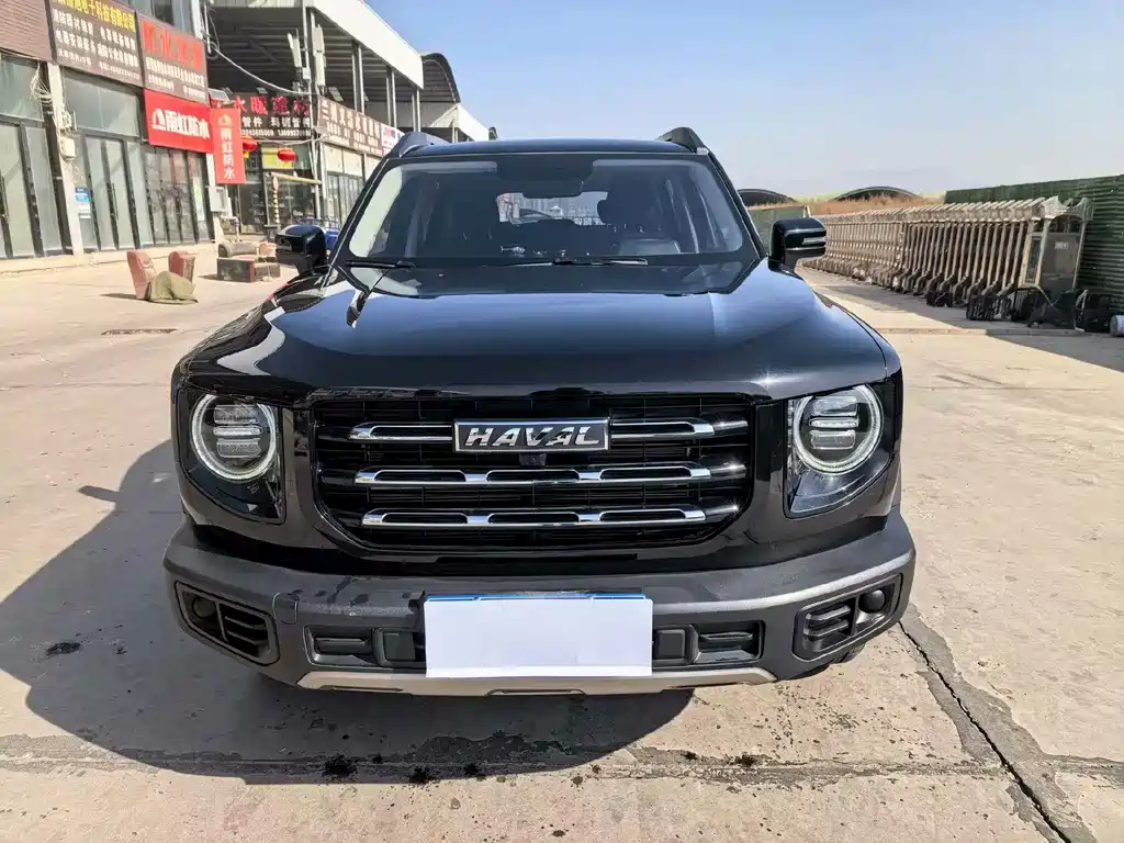 HAVAL BIG DOG