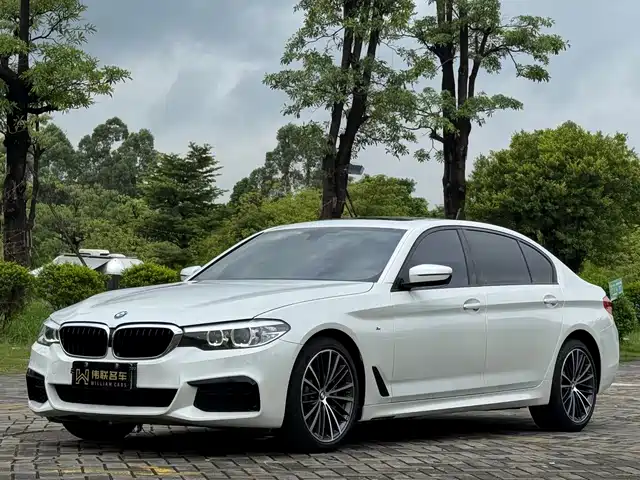 BMW 5 SERIES 2019