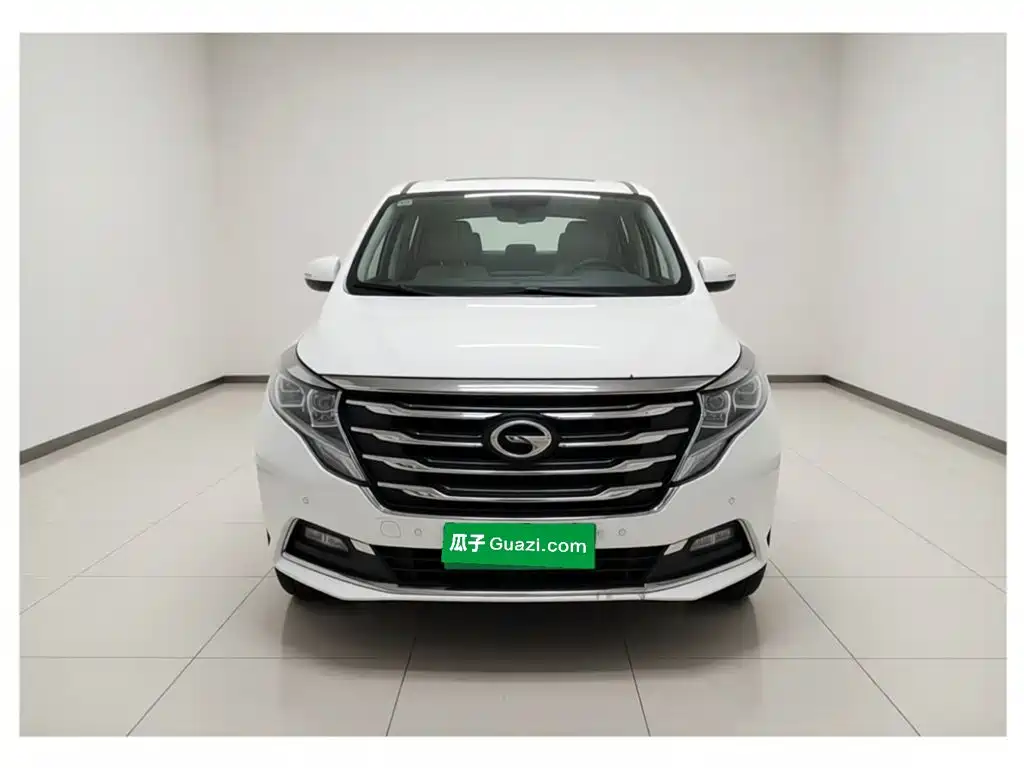 GAC Motor Trumpchi M8 — миниатюра 2