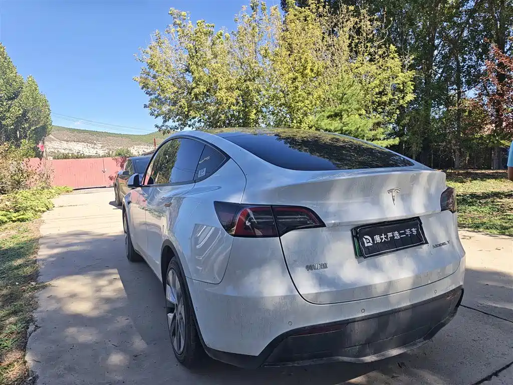 Tesla Model Y — миниатюра 3