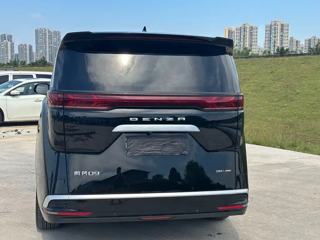 Denza Denza D9 — миниатюра 9