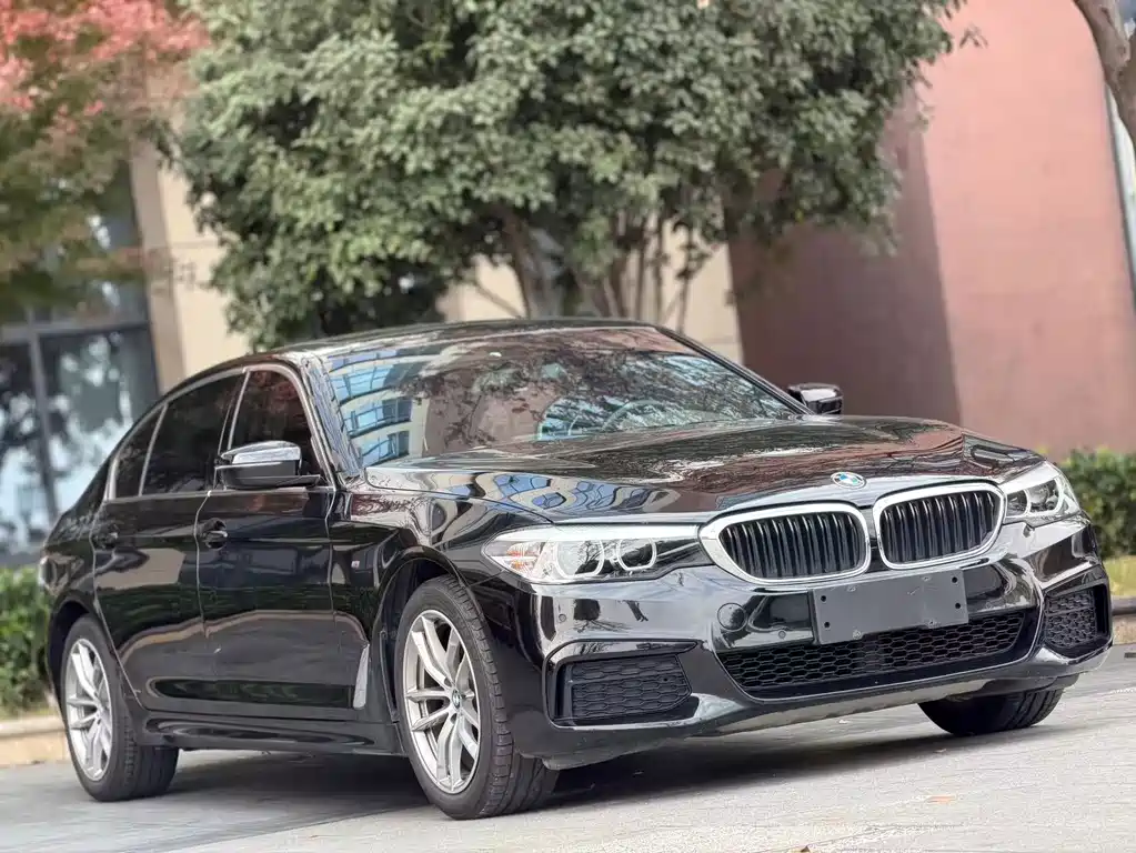 BMW 5 Series — миниатюра 3